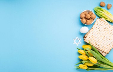 Yahudi bayramı tebrik kartı konsepti matza matzoh (Yahudi bayramı ekmeği), ceviz, mavi masada sarı lale çiçekleri. Seder Pesach bahar tatili arka planı, kopyalama alanı.