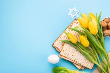 Yahudi bayramı tebrik kartı konsepti matza matzoh (Yahudi bayramı ekmeği), ceviz, mavi masada sarı lale çiçekleri. Seder Pesach bahar tatili arka planı, kopyalama alanı.