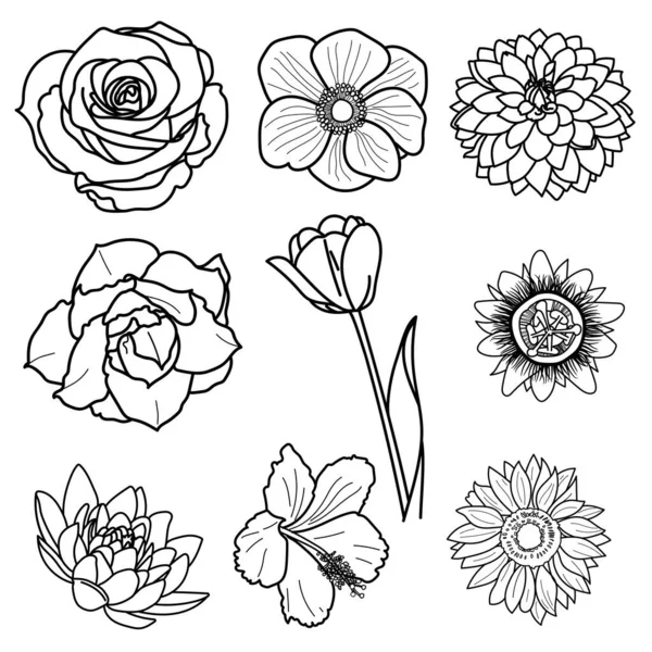 Ritning Blomma Blommor Bunt Isolerad Vit Vektor Illustration — Stock vektor