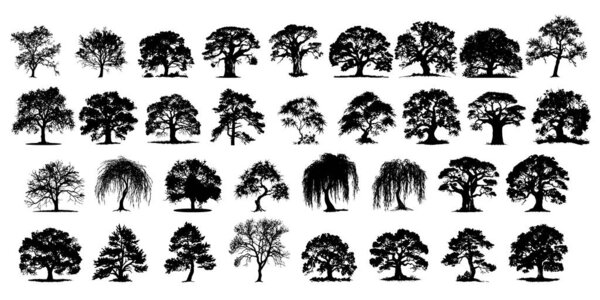 Diverse Tree Silhouette Collection, векторная иллюстрация