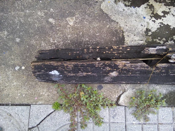 人行道上的旧木料头像 — 图库照片