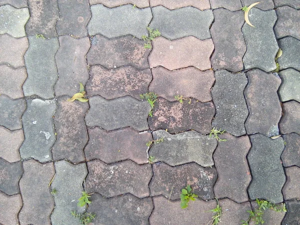 Sidewalk pavement texture background.