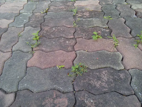 Sidewalk pavement texture background.