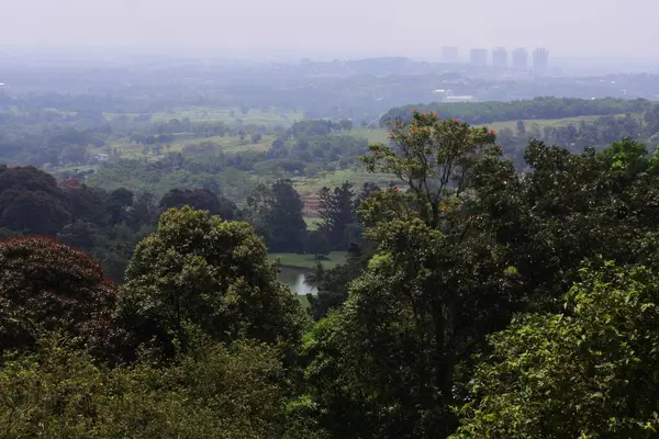 Vista Nella Nebbiosa Mattina Bogor Giava Occidentale Indonesia — Foto Stock