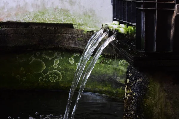 Agua Fuera Tubería Pequeño Estanque Peces Agua Como Fuente Vida —  Fotos de Stock