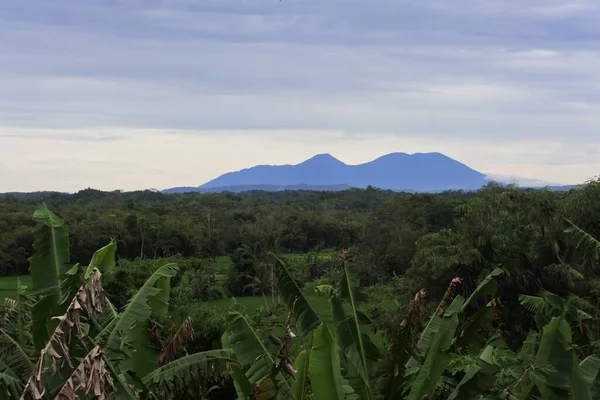 Άποψη Της Αγροτικής Γεωργικής Και Τοπίο Στο Sukabumi Δυτική Ιάβα — Φωτογραφία Αρχείου