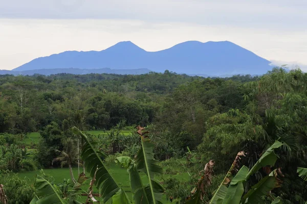 Uitzicht Landelijke Landbouw Landschap Sukabumi West Java Indonesië — Stockfoto
