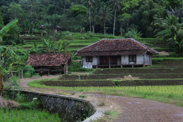 Zicht Traditioneel Huis Dorpen Van Sukabumi West Java Indonesië — Stockfoto