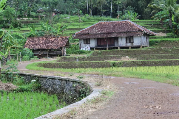 Zicht Traditioneel Huis Dorpen Van Sukabumi West Java Indonesië — Stockfoto