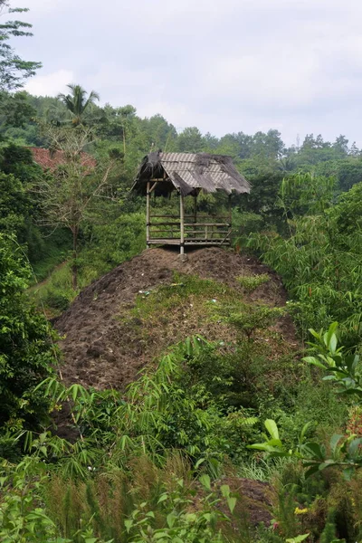 Egyszerű Kunyhó Dombon Kilátás Trópusi Tájra — Stock Fotó