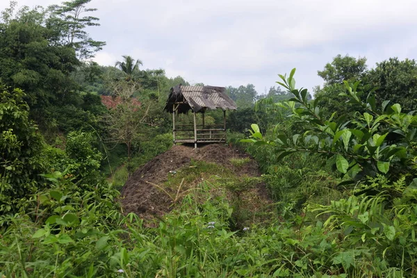 Eenvoudige Hut Heuvel Uitzicht Tropisch Landschap — Stockfoto
