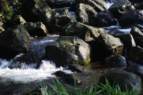Piękny Widok Wodę Płynącą Między Brzegiem Rzeki Skałami Tło Wodne — Zdjęcie stockowe