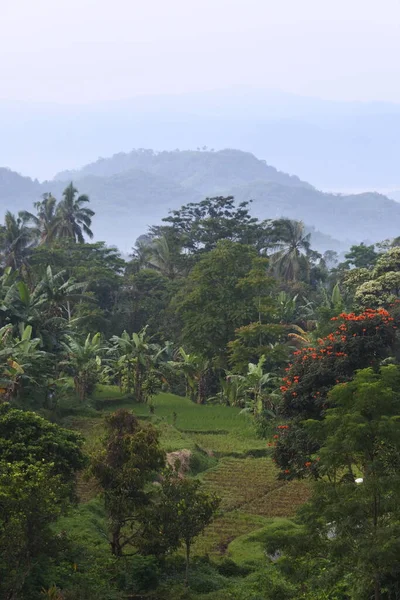 Widok Majestatyczny Krajobraz Sukabumi Jawa Zachodnia Indonezja — Zdjęcie stockowe