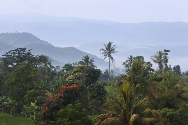Blick Auf Die Majestätische Landschaft Von Sukabumi Westjava Indonesien — Stockfoto