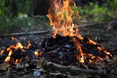 Ateş, evin bahçesindeki kuru yaprak atıklarından yanıyor. Kuru yaprakları tırmıkla ve yak..