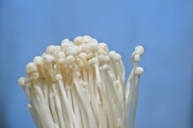 Porcini mantarı yakın çekim. Biyolojik mantar çerçeveleri. Taze enoki mantarları.