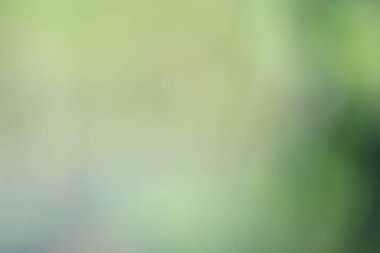 Renk karışımı soyut bokeh. İllüstrasyon için muhteşem arkaplan.