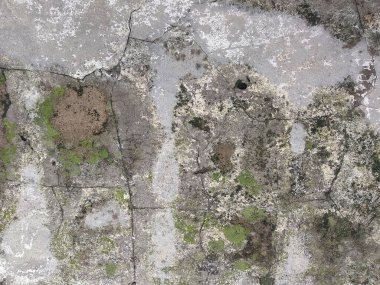 Soyut duvar arkaplanı. İllüstrasyon için muhteşem bir arka plan. doku benzersiz.