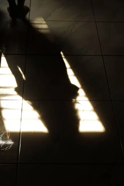 Silhueta Sombra Não Identificada Chão Silhueta Homem Frente Janela Durante — Fotografia de Stock