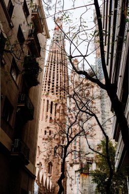 Barselona, İspanya - 12 Aralık 2022: La Sagrada Familia, Gaudi 'nin bitmemiş bir eseri, İspanya' daki en ilginç katedraldir..