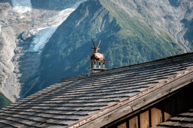 Alp dağ keçisi, kapra, dağlık kulübelerin çatısında dinlenen bukolik, turistler için tipik bir görüntü..