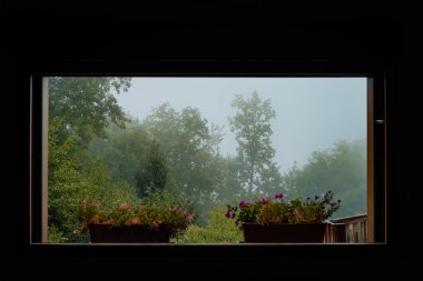 Nostaljik sonbahar görüntüsü sessiz tonlar ve değiştirilmiş dağ kulübesi renginde.