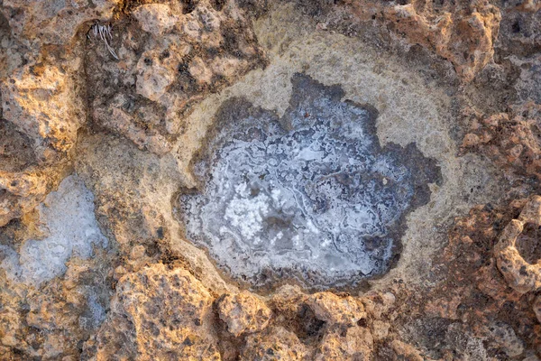 Deniz Suyu Kayalarda Buharlaşınca Tuz Kalıntıları Sodyum Açısından Zengin Bir — Stok fotoğraf