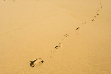 Kumsaldaki kumda çıplak ayak izleri..