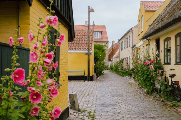 丹麦Dragor村别致而漂亮的街道 — 图库照片