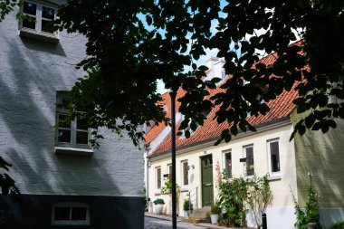 Koyu ağaç dalları kırsal tuğla evlerin beyaz duvarlarını çerçeveliyor.