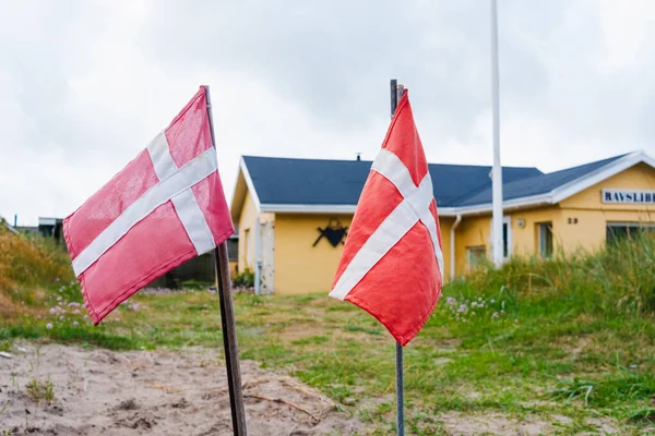 用丹麦国旗钉在海岸上的铅笔 — 图库照片