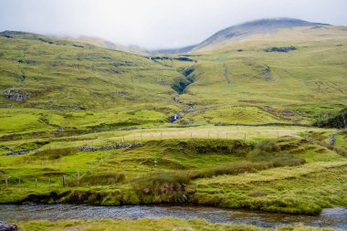 Taze yeşil çimlerle kaplı bir tepenin tepesini sis kaplıyor. Tipik İrlanda çayırları..