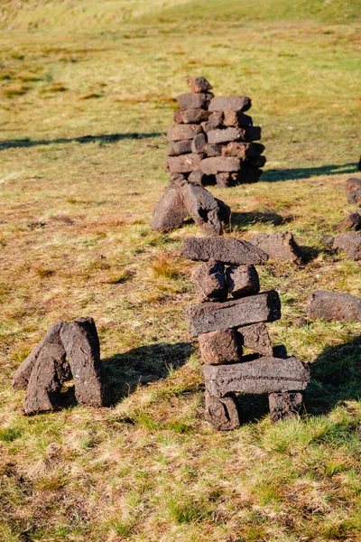 在爱尔兰海岸 传统的泥炭块是从丰富多样的湿地中收获的 — 图库照片