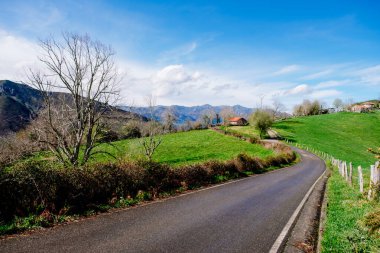 Asturias, İspanya 'da yeşil çayırlar