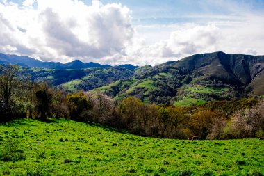 İspanya 'nın Asturias kentinin pitoresk bölgesinde yükselen dağlara karşı canlı yeşil bir alan. Bereketli çayırlar uzak tepelere doğru uzanıyor ve çarpıcı bir doğal manzara yaratıyor..