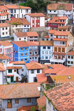Cudillero 'daki evler ve çatılar tipik bir Asturian kıyı kasabası, İspanya
