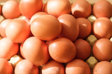 Nazik doğal ışıkla aydınlatılan bir sandık içine yerleştirilmiş kahverengi yumurta koleksiyonu. Pürüzsüz yüzeyi ve ılık tonları yemek pişirmek için mükemmel bir bolluk ve tazelik hissi yaratıyor..