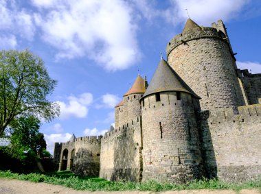 Castillo de Carcassonne çarpıcı gökyüzüne karşı etkileyici kuleleri ve duvarlarıyla gururla ayakta duruyor. Yeşillikler tarihi mekanı çevreleyerek ziyaretçiler ve tarih meraklıları için barışçıl bir atmosfer yaratıyor..