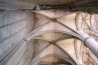 Carcassonne Katedrali 'nin büyüleyici iç mekanını zarif tavan ve detaylı taş kemerleriyle keşfedin..