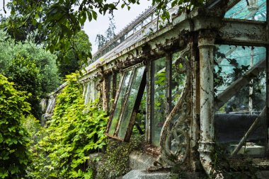 Paslı çerçevesi ve kırık cam panelleri olan eski bir sera, canlı yeşil yapraklarla kaplıdır..