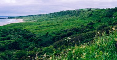 Canlı kıyı manzaraları yeşil tepeler ve sakin bir plaj sergiliyor. Huzurlu bir ortamda doğanın güzelliğini keşfetmeye ve takdir etmeye davet ediyor..