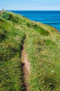 Bereketli mavi okyanusa doğru dolambaçlı yol, açık ve güneşli bir günde doğanın güzelliğinin arasında huzurlu bir kaçış sunuyor..