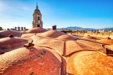 Malaga Cathedral Rooftop at Sunset in Malaga, Andalucia, Spain 