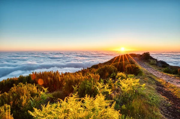 Visualizza Dalla Cima Più Alta Madeira Pico Ruivo Sunrise Portogallo — Foto Stock