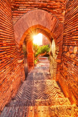 Gate of the Wall and the Gardens of the Alcazaba in the City of Almeria, Andalusia, Spain  clipart