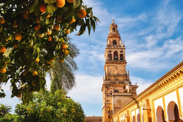 Büyük Cami Mezquita - Cordoba Katedral de Cordoba Bell Tower ile Cordoba, Endülüs, İspanya 'da Bahçe 