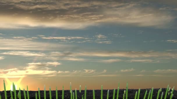 日の出の背景で発芽し 成長する麦の種子の時間の経過 ロイヤリティフリーストック映像