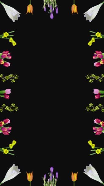 さまざまなイースタータイムの花を開くフレーム ストック動画