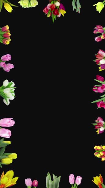 Blasender Tulpenrahmen Für Eine Frohe Osterkarte Stockvideo