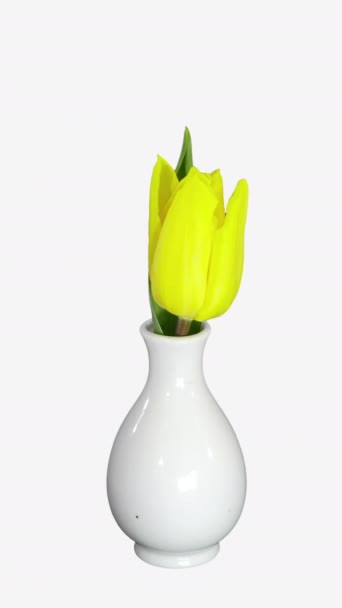 打开花瓶中黄色郁金香的时间间隔 垂直方向 图库视频片段
